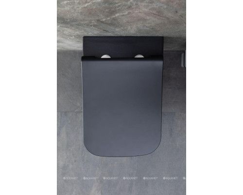 Унитаз подвесной Allen Brau Infinity 4.21011.31 черный матовый