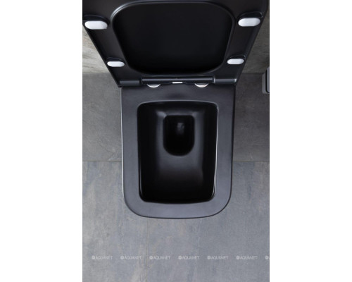 Унитаз подвесной Allen Brau Infinity 4.21011.31 черный матовый