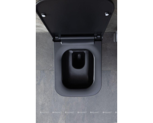 Унитаз подвесной Allen Brau Infinity 4.21011.31 черный матовый