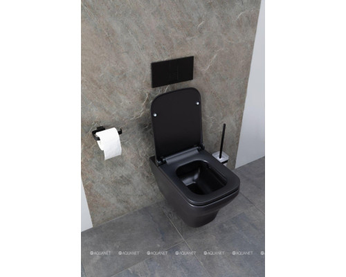 Унитаз подвесной Allen Brau Infinity 4.21011.31 черный матовый