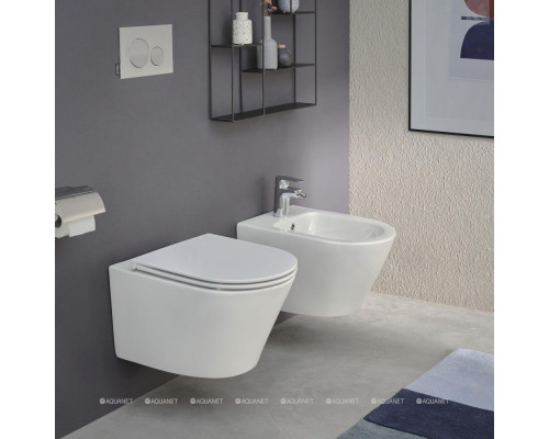 Биде подвесное Jacob Delafon Rodin+ EMJ0002-00