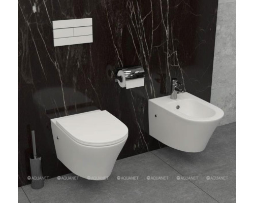 Унитаз подвесной Jacob Delafon Rodin+ EDY102-00