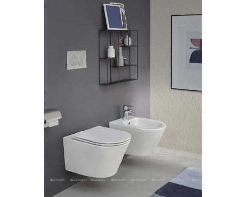 Унитаз подвесной Jacob Delafon Rodin+ EDY102-00