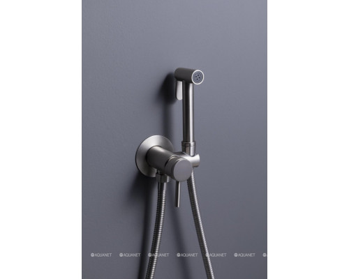 Смеситель с гигиеническим душем Allen Brau Priority 5.31A29-BN (с внутренней частью) никель браш