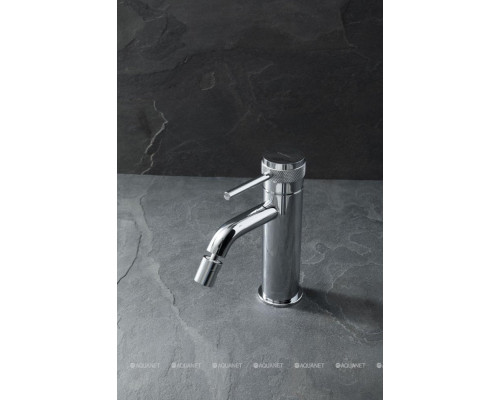 Смеситель для биде Allen Brau Priority 5.31A04-00 (с донным клапаном) хром