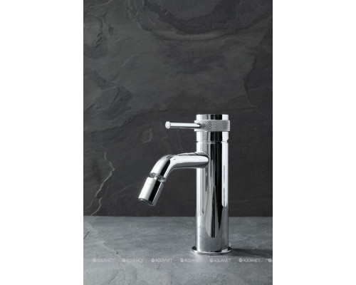 Смеситель для биде Allen Brau Priority 5.31A04-00 (с донным клапаном) хром