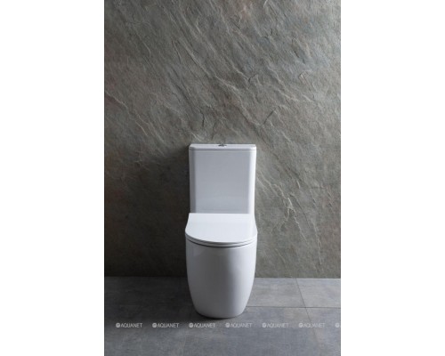 Унитаз-компакт Allen Brau Priority 4.31003.20 белый