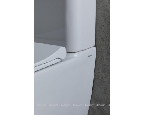 Унитаз-компакт Allen Brau Priority 4.31003.20 белый