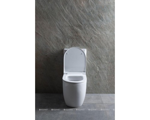 Унитаз-компакт Allen Brau Priority 4.31003.20 белый