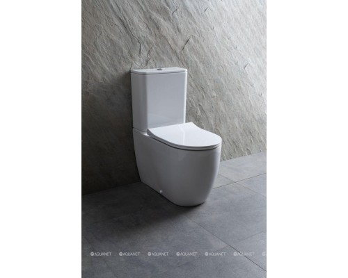 Унитаз-компакт Allen Brau Priority 4.31003.20 белый