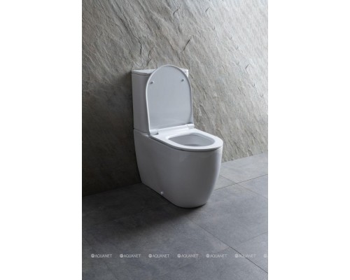 Унитаз-компакт Allen Brau Priority 4.31003.20 белый