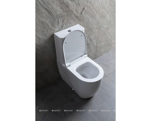 Унитаз-компакт Allen Brau Priority 4.31003.20 белый