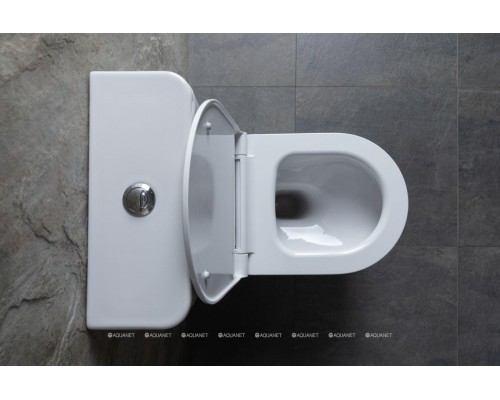 Унитаз-компакт Allen Brau Priority 4.31003.20 белый