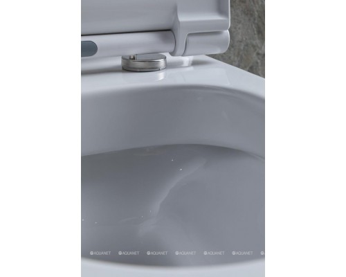 Унитаз-компакт Allen Brau Priority 4.31003.20 белый