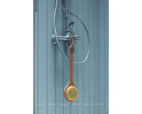Душевая стойка Aquanet Passion R