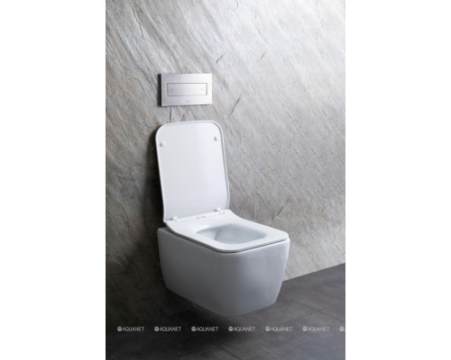 Унитаз подвесной Allen Brau Liberty 4.33007.20 белый