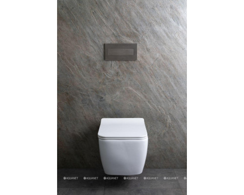 Унитаз подвесной Allen Brau Liberty 4.33007.20 белый