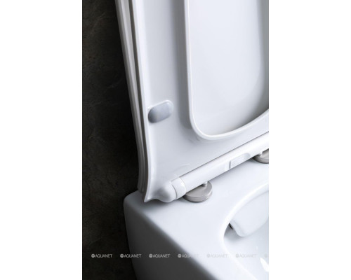 Унитаз подвесной Allen Brau Liberty 4.33007.20 белый