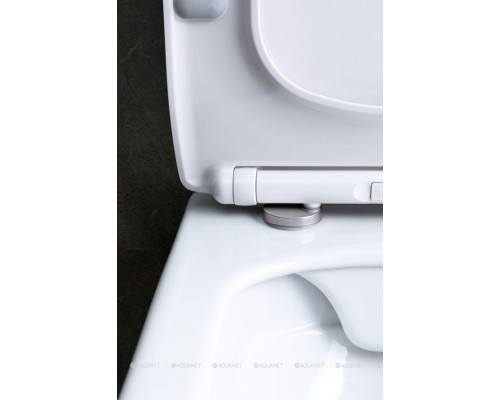 Унитаз подвесной Allen Brau Liberty 4.33007.20 белый