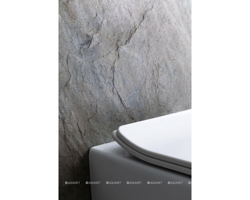 Унитаз подвесной Allen Brau Liberty 4.33007.20 белый