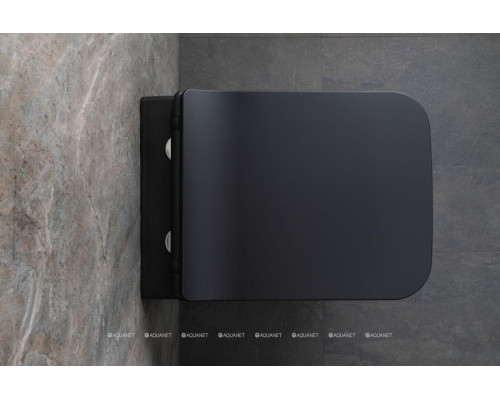 Унитаз подвесной Allen Brau Liberty 4.33007.31 черный матовый