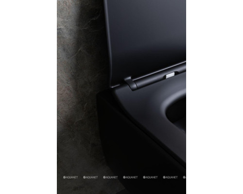 Унитаз подвесной Allen Brau Liberty 4.33007.31 черный матовый