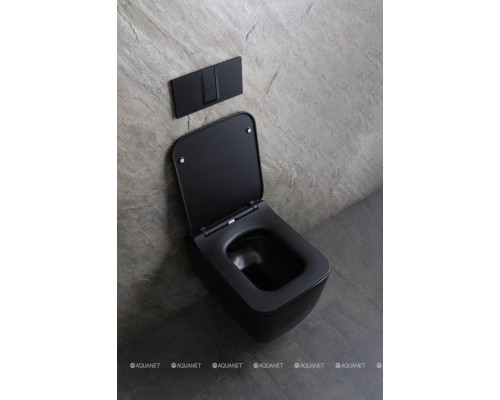 Унитаз подвесной Allen Brau Liberty 4.33007.31 черный матовый