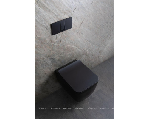 Унитаз подвесной Allen Brau Liberty 4.33007.31 черный матовый