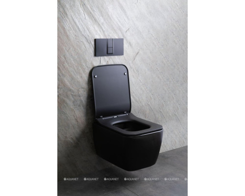 Унитаз подвесной Allen Brau Liberty 4.33007.31 черный матовый