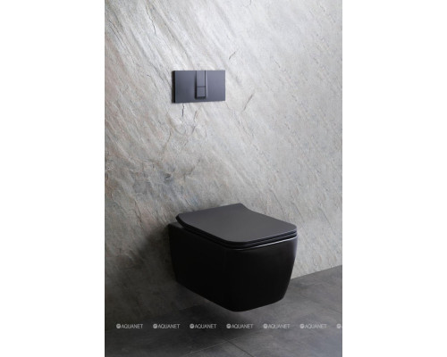 Унитаз подвесной Allen Brau Liberty 4.33007.31 черный матовый