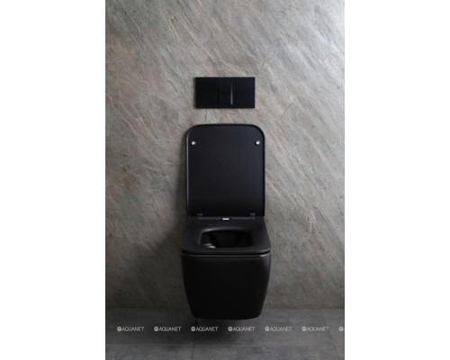 Унитаз подвесной Allen Brau Liberty 4.33007.31 черный матовый