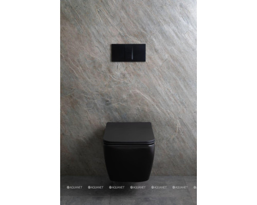 Унитаз подвесной Allen Brau Liberty 4.33007.31 черный матовый