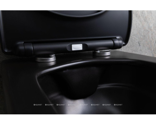 Унитаз подвесной Allen Brau Liberty 4.33007.31 черный матовый