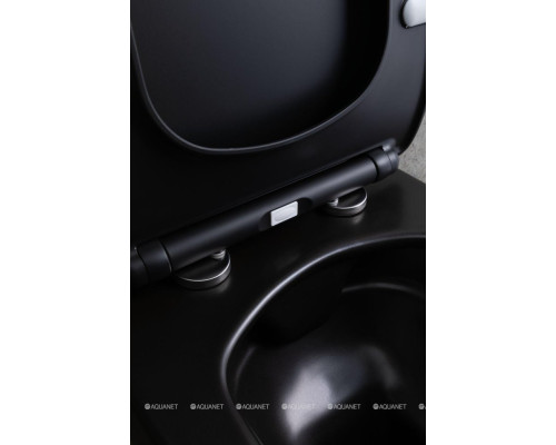 Унитаз подвесной Allen Brau Liberty 4.33007.31 черный матовый