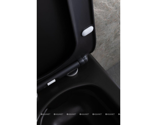 Унитаз подвесной Allen Brau Liberty 4.33007.31 черный матовый