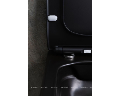 Унитаз подвесной Allen Brau Liberty 4.33007.31 черный матовый