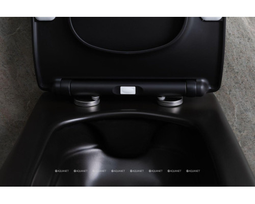 Унитаз подвесной Allen Brau Liberty 4.33007.31 черный матовый