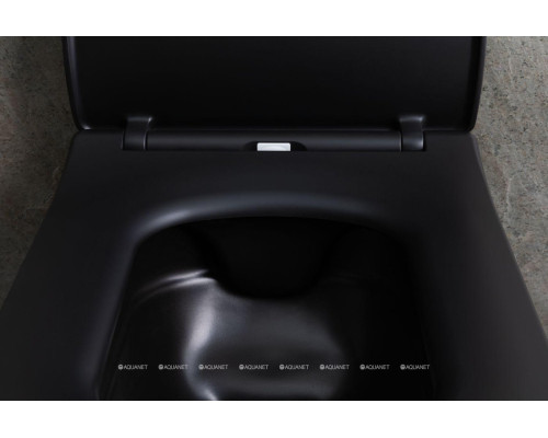 Унитаз подвесной Allen Brau Liberty 4.33007.31 черный матовый