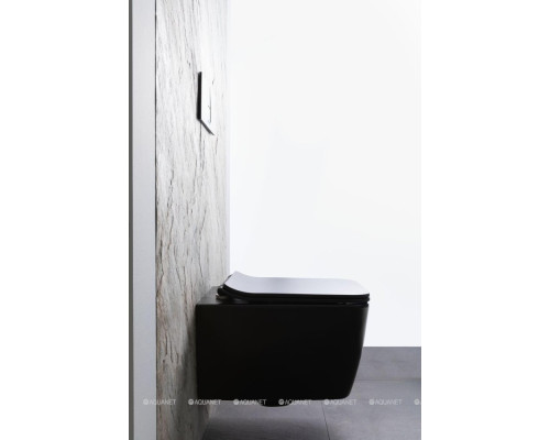 Унитаз подвесной Allen Brau Liberty 4.33007.31 черный матовый