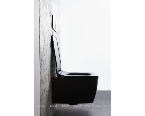 Унитаз подвесной Allen Brau Liberty 4.33007.31 черный матовый