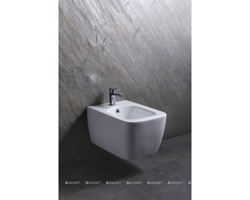 Биде подвесное Allen Brau Liberty 4.33010.21 белый матовый