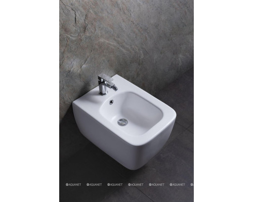 Биде подвесное Allen Brau Liberty 4.33010.21 белый матовый