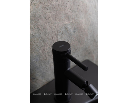 Биде подвесное Allen Brau Liberty 4.33010.31 черный матовый