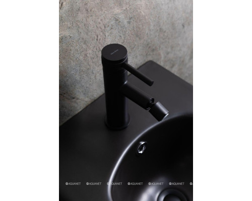 Биде подвесное Allen Brau Liberty 4.33010.31 черный матовый