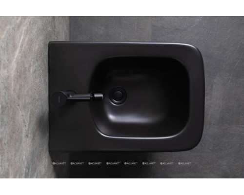 Биде подвесное Allen Brau Liberty 4.33010.31 черный матовый