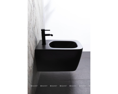 Биде подвесное Allen Brau Liberty 4.33010.31 черный матовый