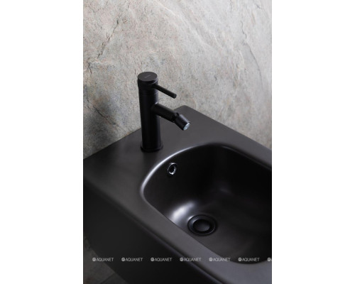 Биде подвесное Allen Brau Liberty 4.33010.31 черный матовый