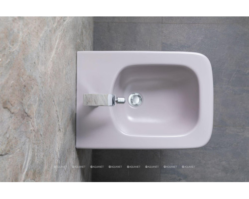 Биде подвесное Allen Brau Liberty 4.33010.AN антрацит