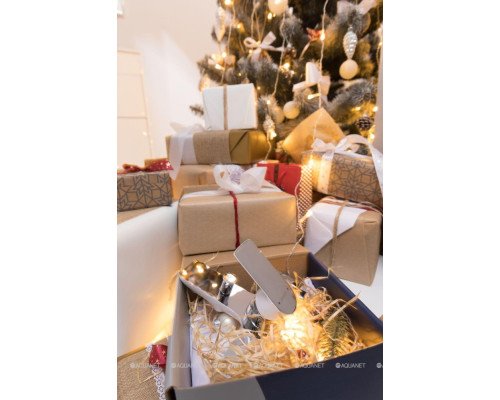 Смеситель для ванны с душем Aquanet Arctic AF520-20СW