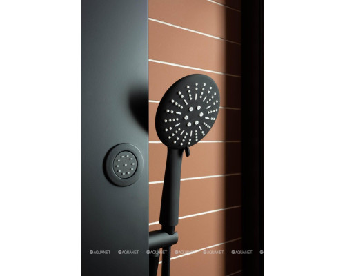 Душевая дверь Aquanet Pleasure AE60-N-120H200U-BT 120, прозрачное стекло